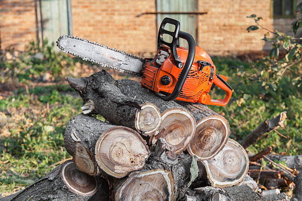 Best Emergency Storm Tree Removal  in Lake Caroline, VA